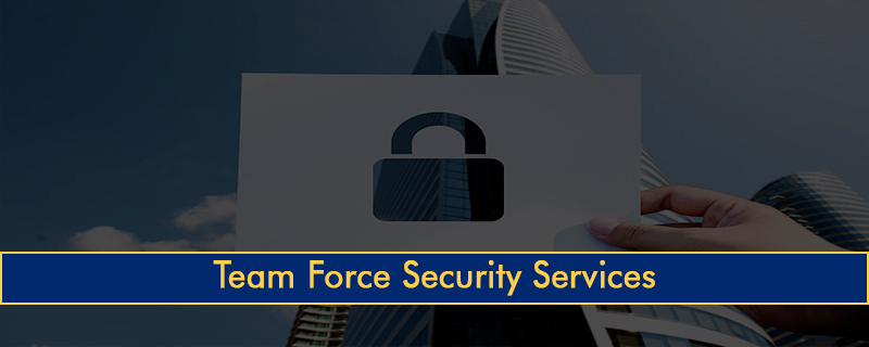 Team Force Security Services 
